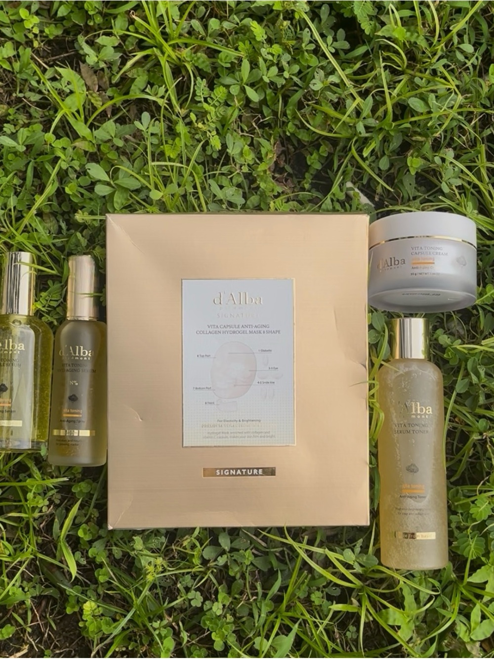 Alba Skincare Set in Champagne Gold and Clear Bottles